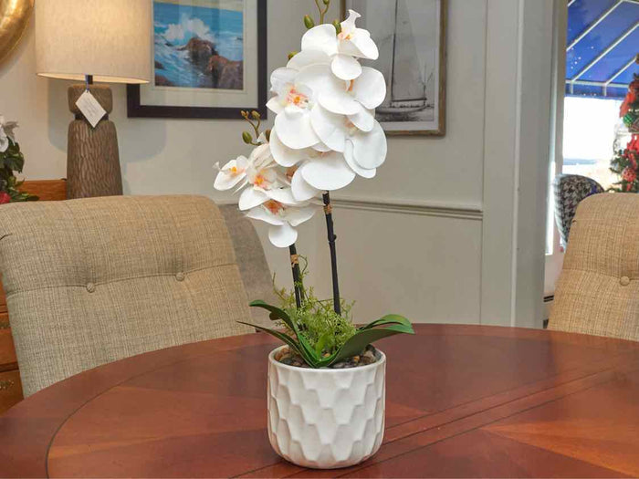 Boca White Orchid In Textured Pot Decor