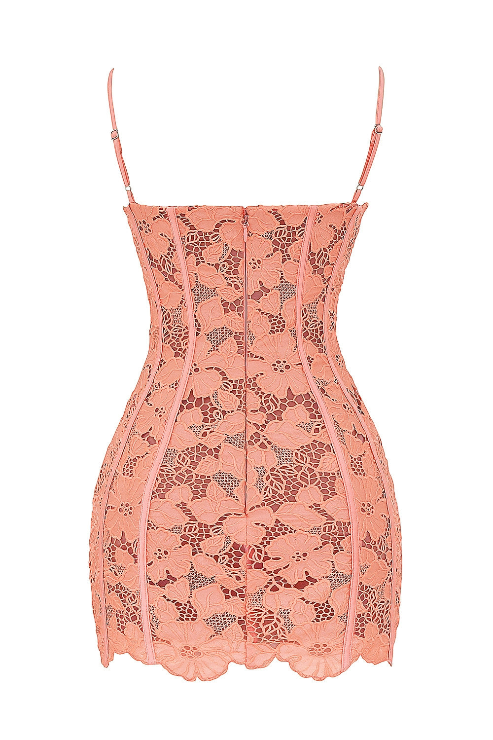 sorbet embroidered floral lace mini dress
