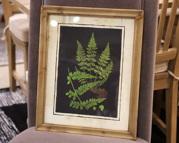 Matted Fern II Print in Wood Frame