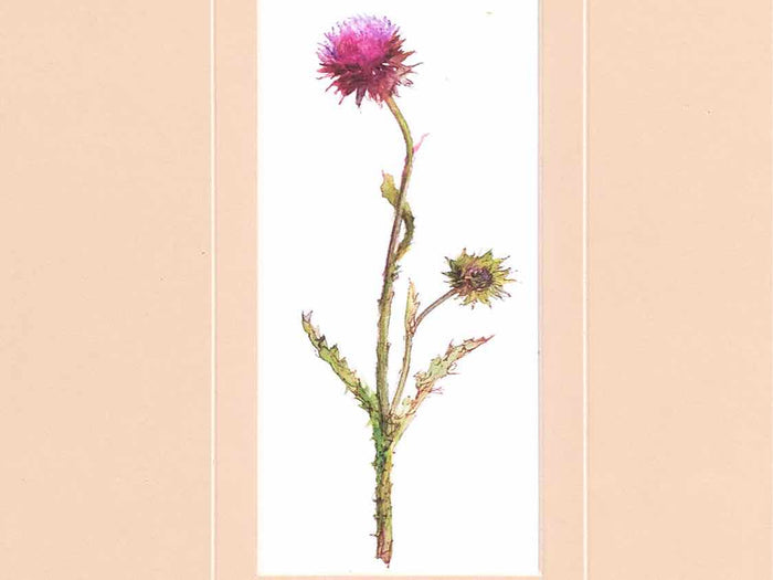 'Pretty Florals I' Framed Print 3/3