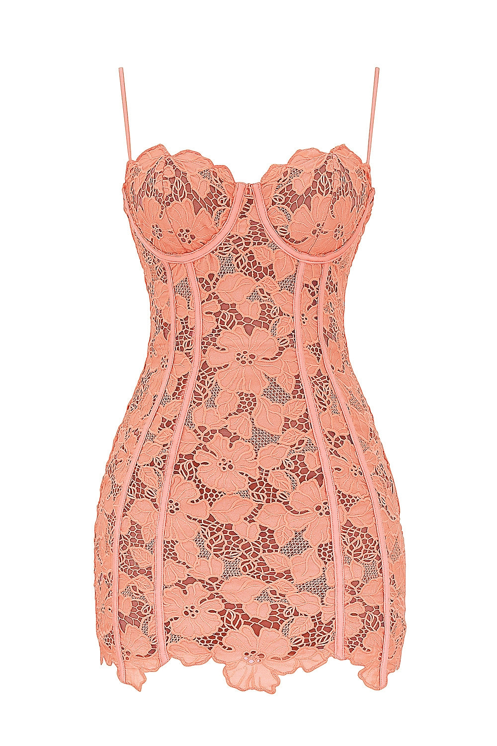 sorbet embroidered floral lace mini dress