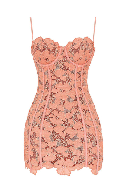 sorbet embroidered floral lace mini dress