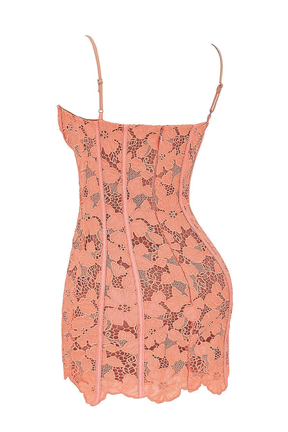 sorbet embroidered floral lace mini dress