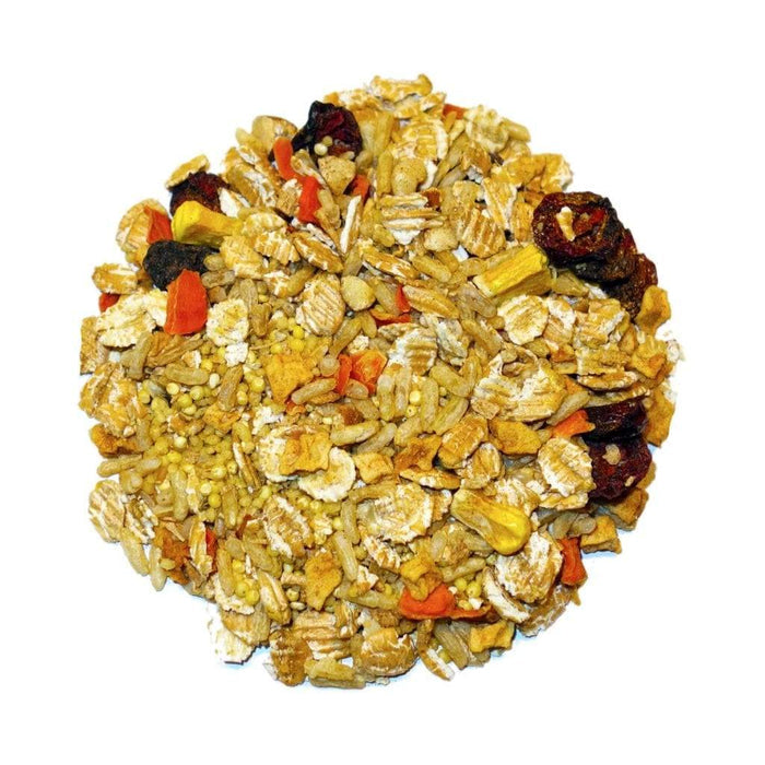 AppleBerry - Feast on the Fly, 18 oz