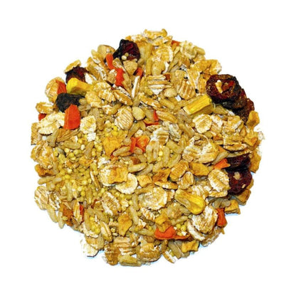 AppleBerry - Feast on the Fly, 18 oz