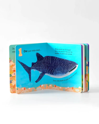 Australia Under The Sea 123 Board Book by Frané Lessac
