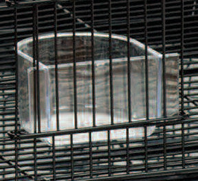 Breeder Cage Replacement Cup
