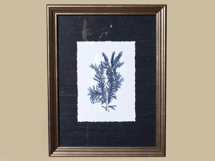 Coral Art Print On Grasscloth Driftwood Finish Frame IIr