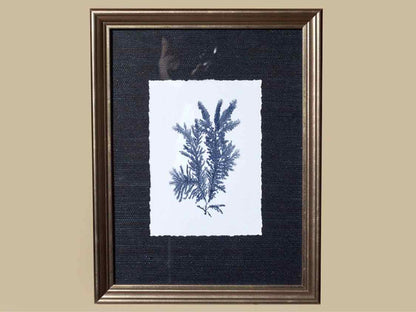Coral Art Print On Grasscloth Driftwood Finish Frame IIr