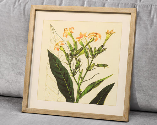 Framed Yellow Flower Print II Under Glass