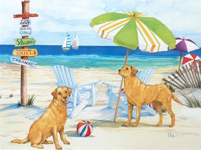 'Grayton Beach Dog II' Watercolor Print Double Matted In Driftwood Frame