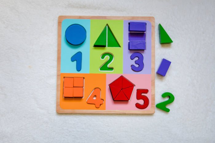 Jigsaw Shape Fraction Wooden Puzzle (DAMAGED PACKAGING)