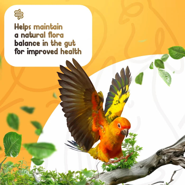 Organic Prebiotic, Probiotic, and Post Biotic Blend, 1.06 oz
