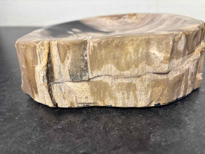 Petrified Wood Decorative Tray