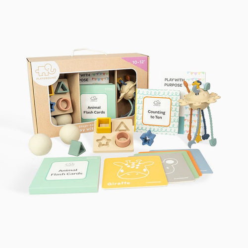 Play with Purpose Toy Starter Pack Box 4 | 10-12 Months (DAMAGED PACKAGING)
