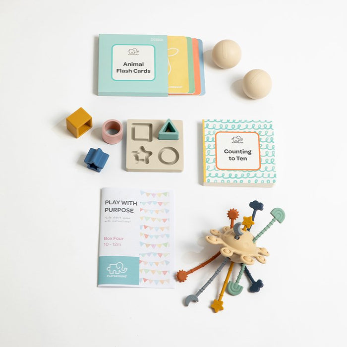 Play with Purpose Toy Starter Pack Box 4 | 10-12 Months (DAMAGED PACKAGING)