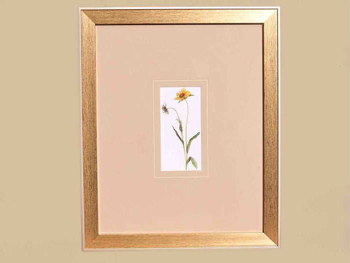 'Pretty Florals I' Framed Print 2/3