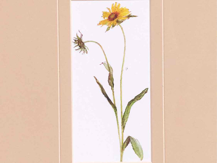 'Pretty Florals I' Framed Print 2/3