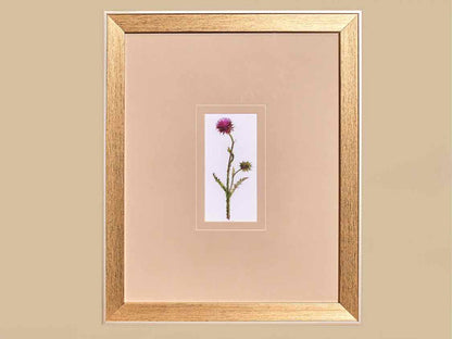 'Pretty Florals I' Framed Print 3/3