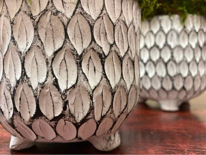 Set of 3 White Pots of Mood Moss