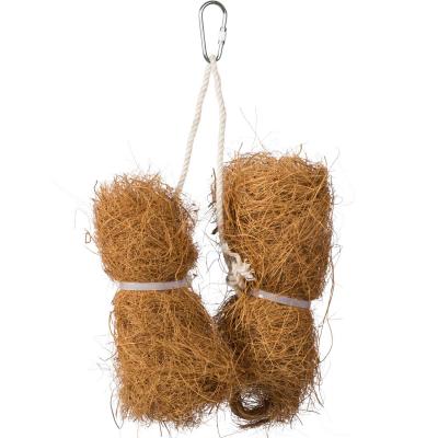 Tropical Teasers Coco Bundles