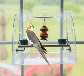 Window Play Center for Small Birds