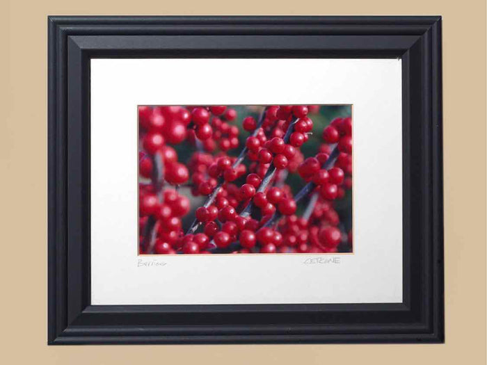'Winter Berries'  Kim Cetrine Photograph Framed In Black Frame