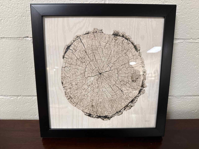 "Woodland Years II"